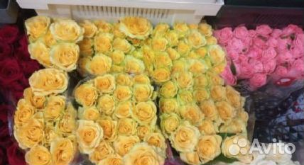 Розы доставка цветов роза букет роз 101 роза