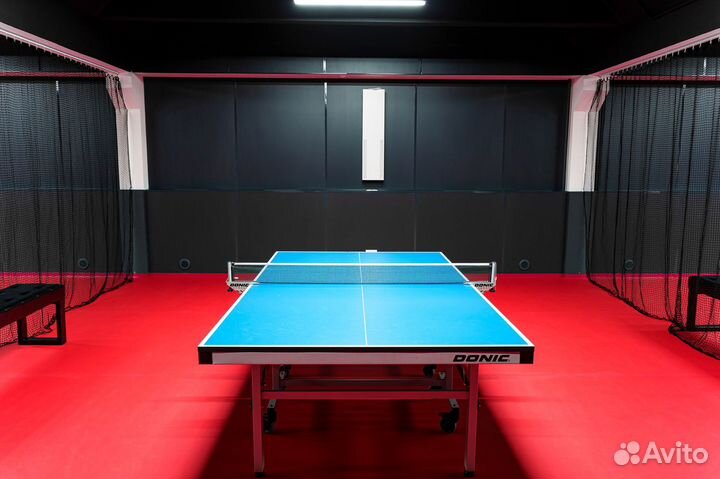 Аренда стола для настольного тенниса