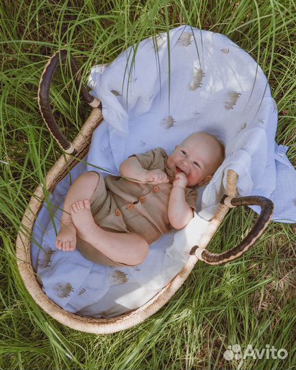 Аренда реквизита