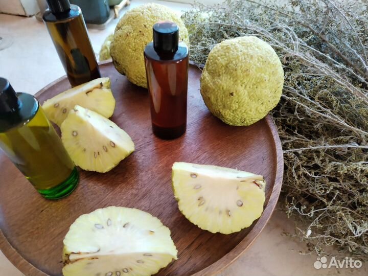 Мазь маклюра. При радикулите, болях в мышцах