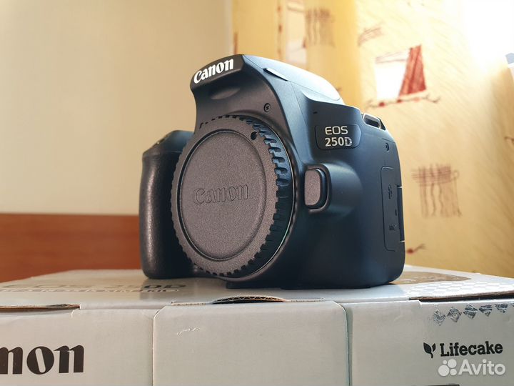 Canon EOS 250D Kit 18-55mm IS STM + допы