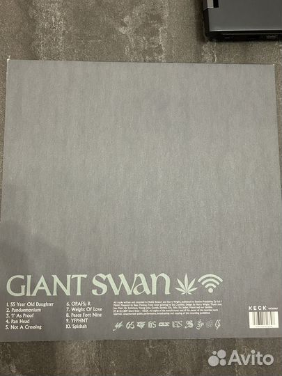 Виниловая пластинка Giant Swan одноименный