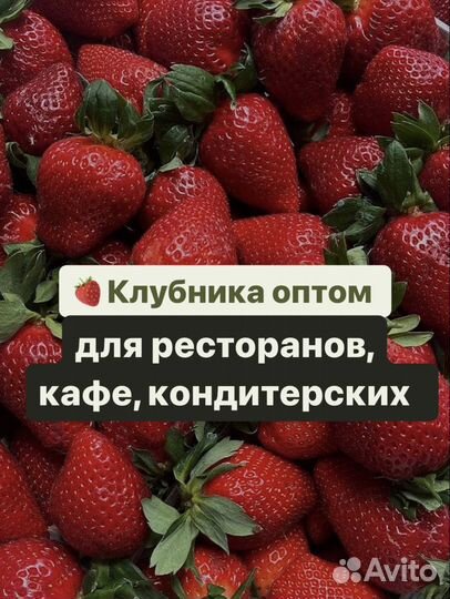 Клубника оптом