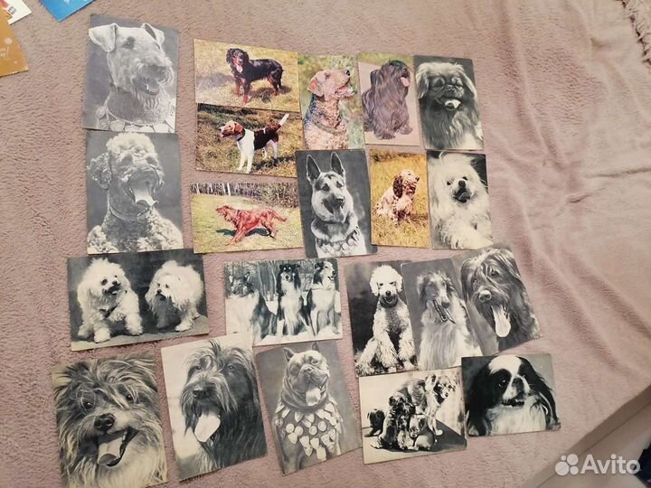 Открытки СССР