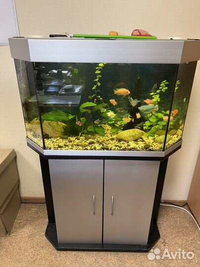 Аквариум с тумбой