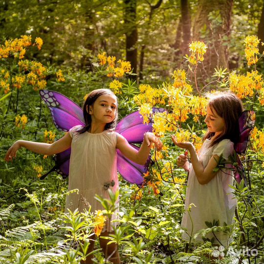 Крылья бабочки для фотосессии для карнавала