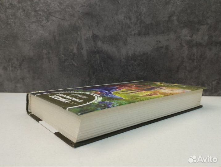 А. Минаева. Неправильная ведьма