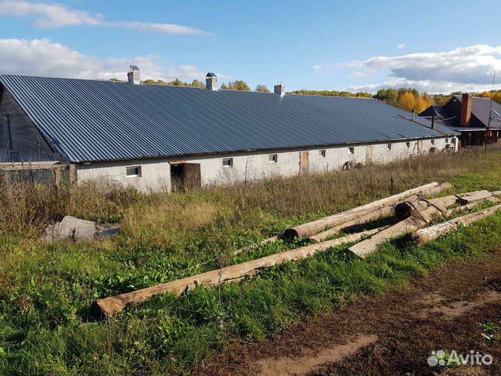 Ищю инвестора агробизнес