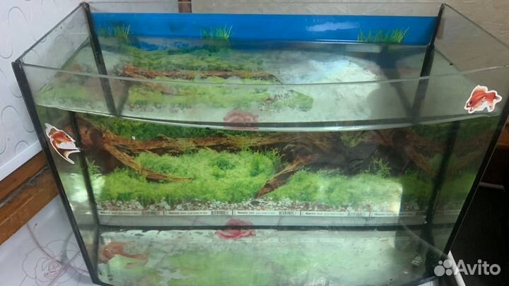 Аквариум