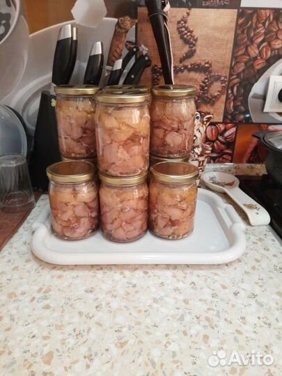 Автоклав Fansel Mini