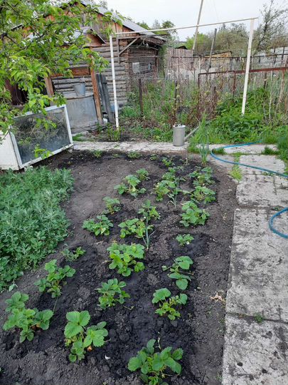 Дача 100 м² на участке 6 сот.