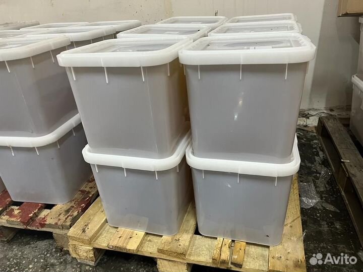 Мед цветочный оптом свежая качка