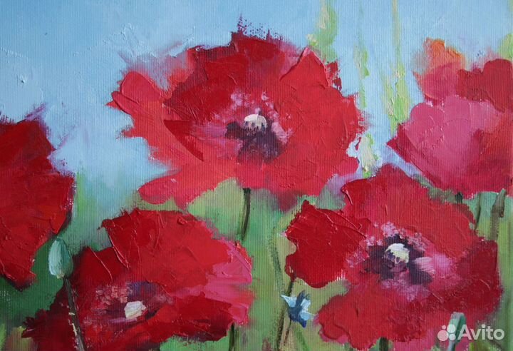 Картина маслом Маки холст 40х45 см