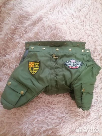 Одежда для собак мелких пород