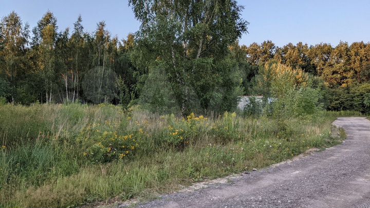 Участок 7,7 сот. (ИЖС)