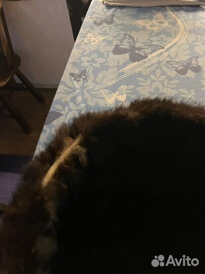 Шапка норковая