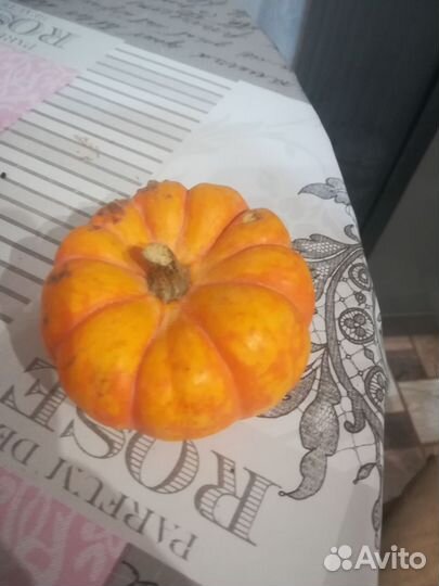 Мини тыква семена