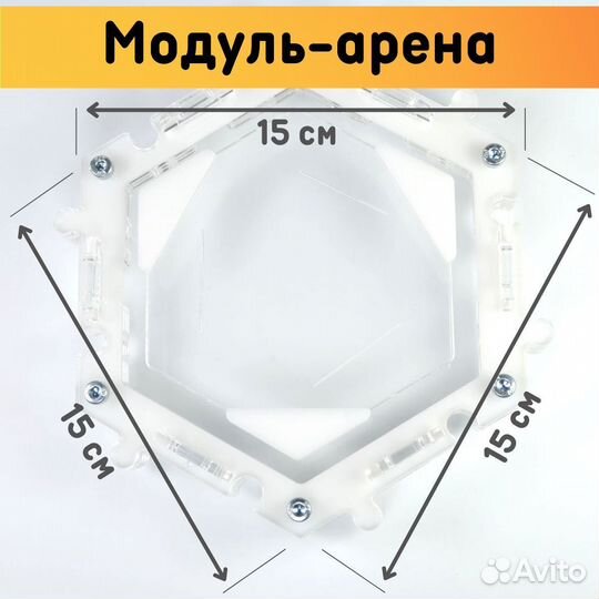 Муравьиная ферма 