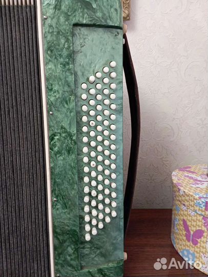 Аккордеон Березка