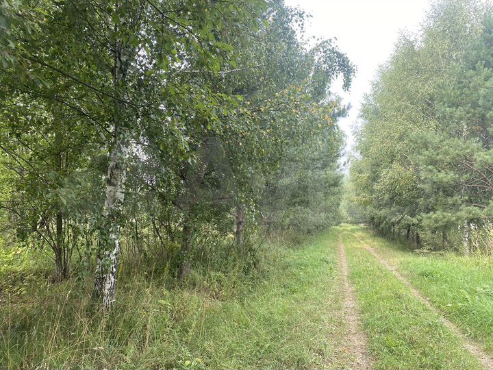 Участок 1,3 га (СНТ, ДНП)