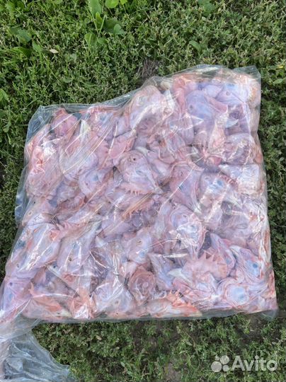 Субпродукты курицы и индейки