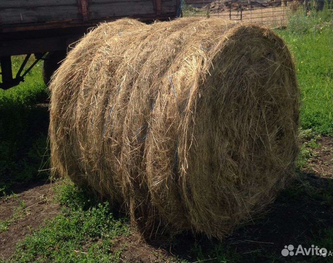 Сено погожее луговое