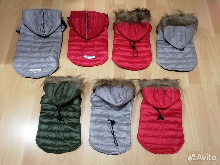 Одежда для собак