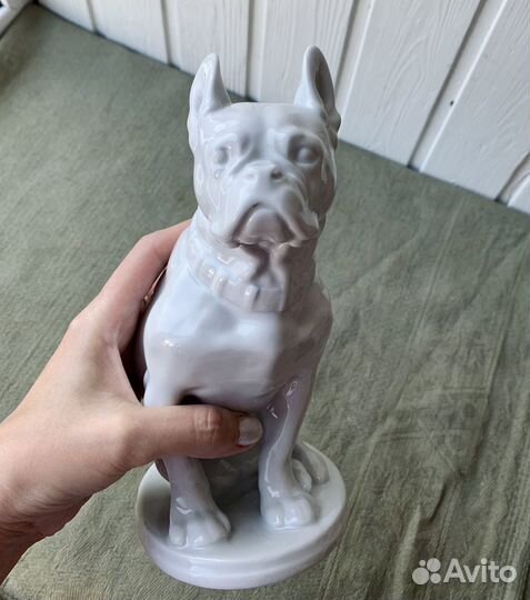 Фарфоровая статуэтка СССР, Бульдог белый, лфз