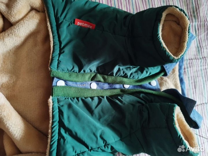 Одежда для собак