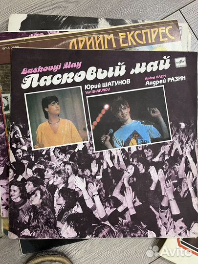 Виниловые пластинки