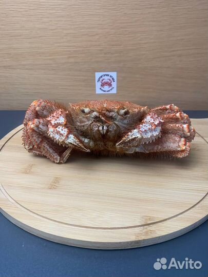 Краб волосатик лучшее качество