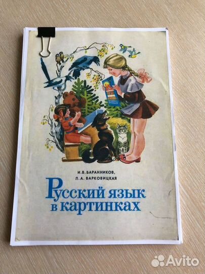 Русский язык в картинках