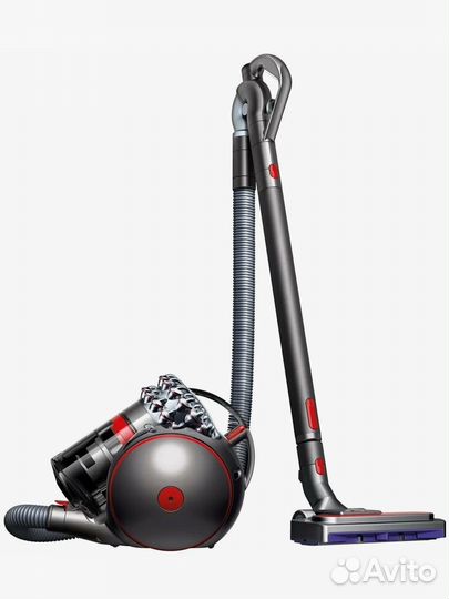 Dyson Cinetic Big Ball Absolute 2