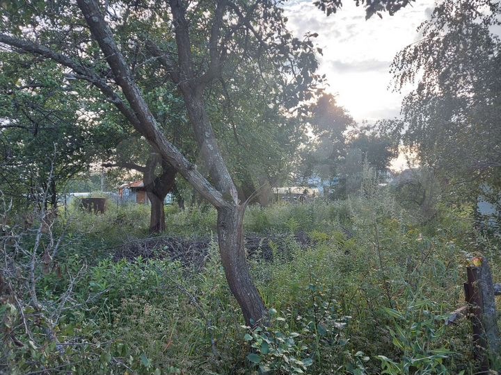 Участок 4 сот. (СНТ, ДНП)