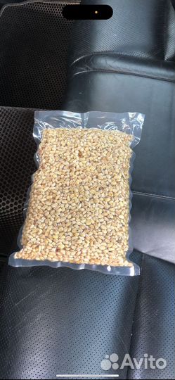 Кедровый орех 2