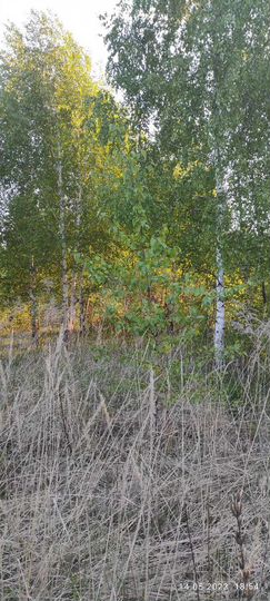 Участок 6 сот. (СНТ, ДНП)