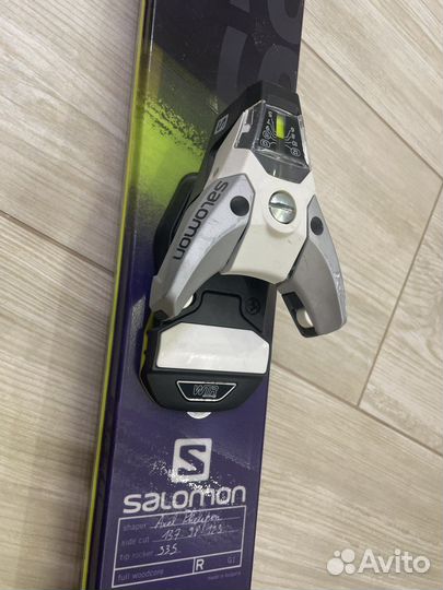 Горные лыжи