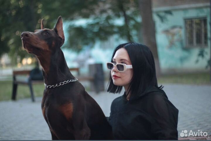 Фотосессия с доберманом