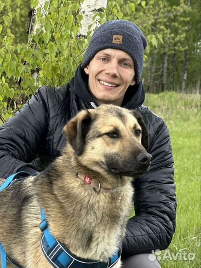 Собака-улыбака из приюта