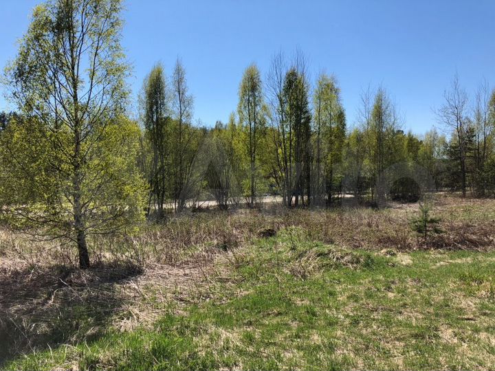 Участок 26,9 сот. (СНТ, ДНП)