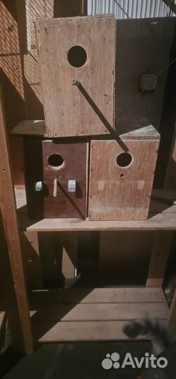 Гнездовой домик для попугаев