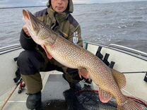 Рыбалка на Рыбинском водохранилище (брейтово)