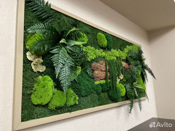 Картина из стабилизированного мха