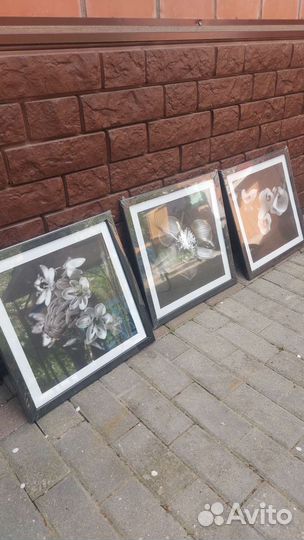 Картины новые