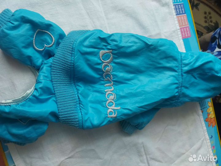 Одежда для маленьких собак