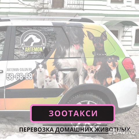 Зоотакси