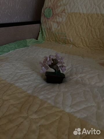 Декоративное деревце