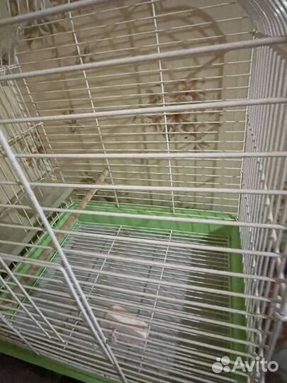 Клетка для попугая большая