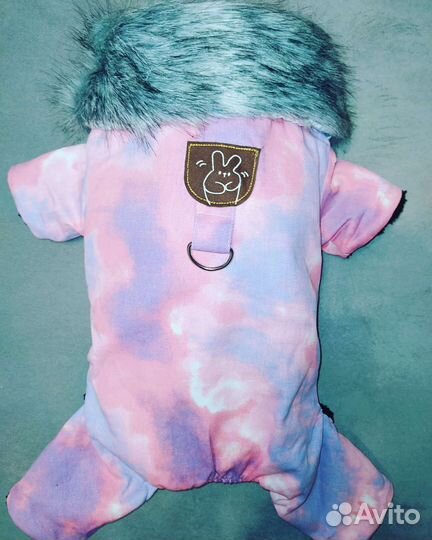 Одежда для собак