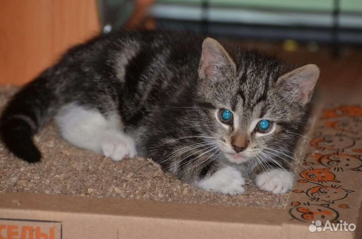 Малышка ищет семью